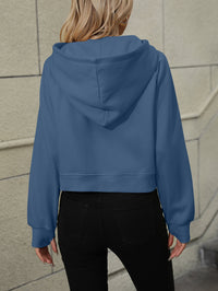 Zayla Raglan Sleeve Zip-Up Hoodie with Pocket