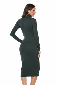 Eliza Ribbed Turtleneck Dress In Multi Colors