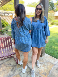 PREORDER: Alexa Denim Dress