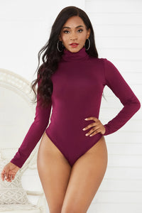 Zara Long Sleeve Turtleneck Bodysuit In 12 Colors