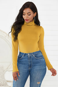 Zara Long Sleeve Turtleneck Bodysuit In 12 Colors