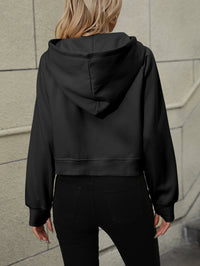 Zayla Raglan Sleeve Zip-Up Hoodie with Pocket